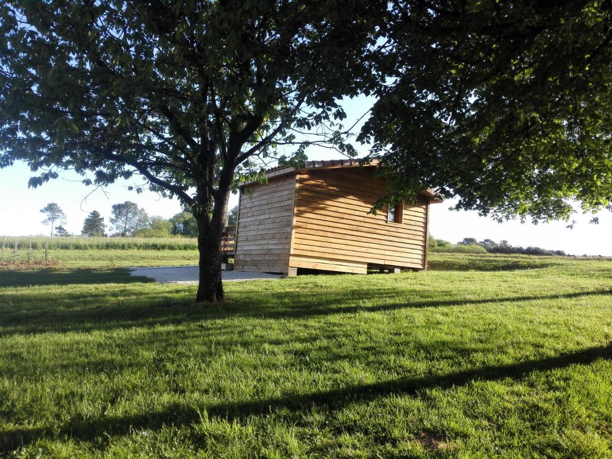 Le Chalet Douillet Saint-Genies Exteriör bild